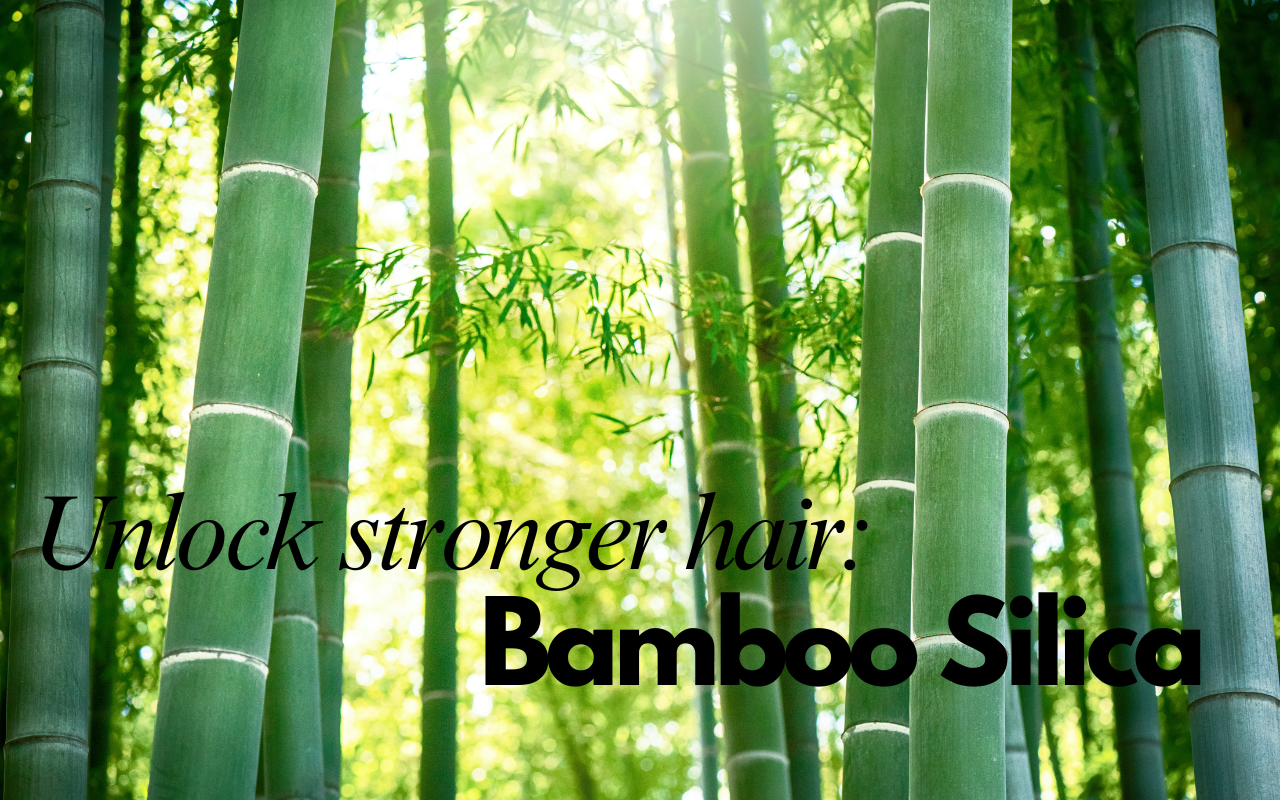Bamboo silica