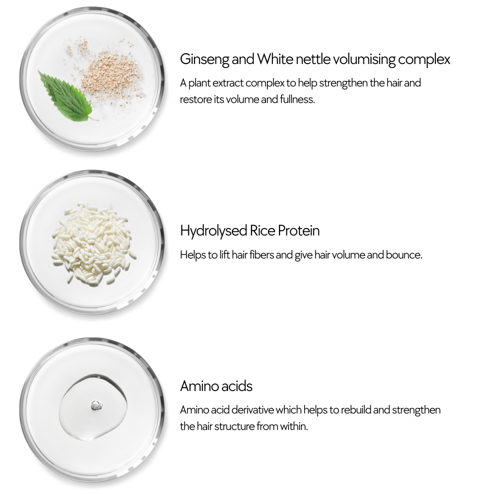 Heightened Volumising Duo