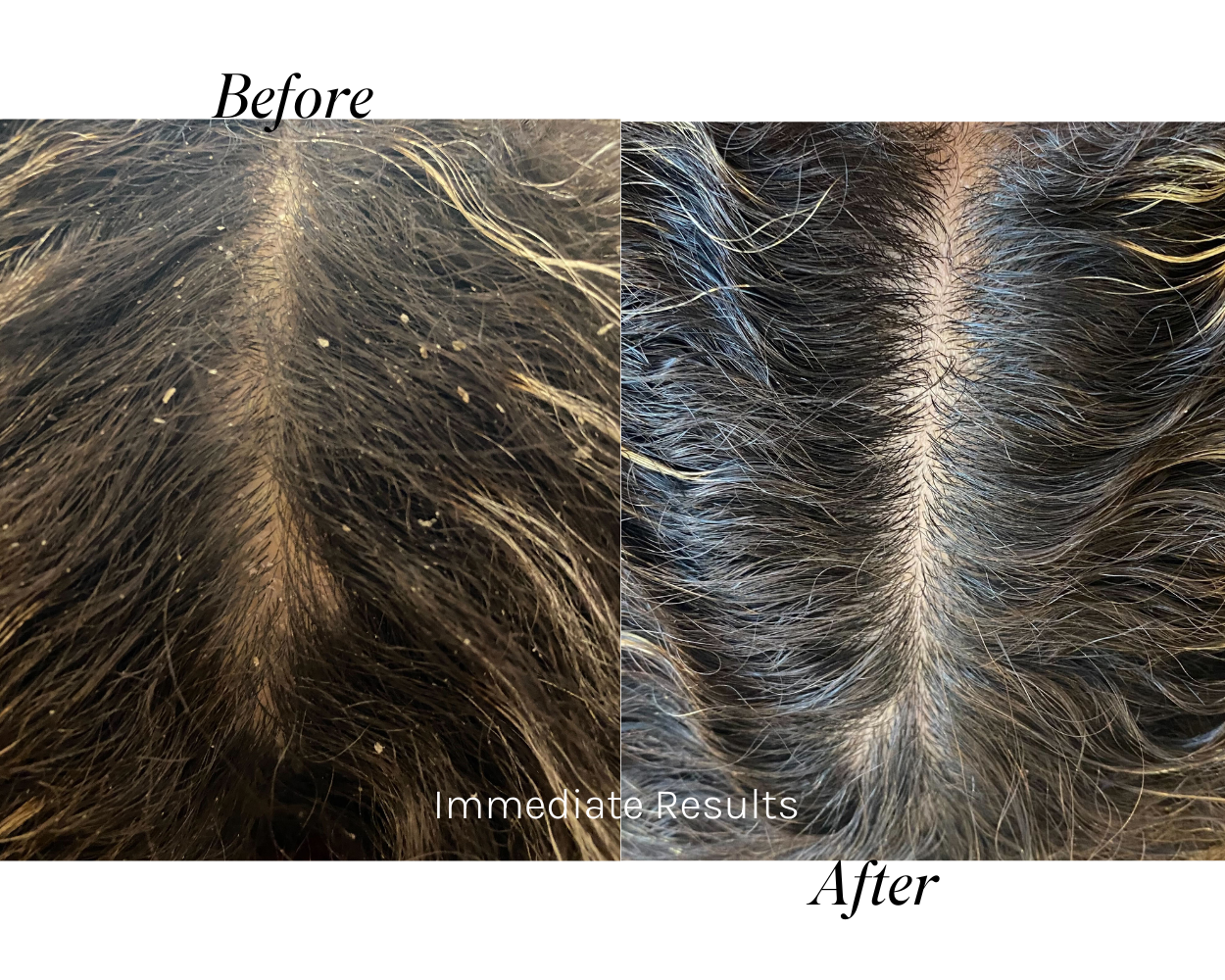 Roots to Tips Bundle