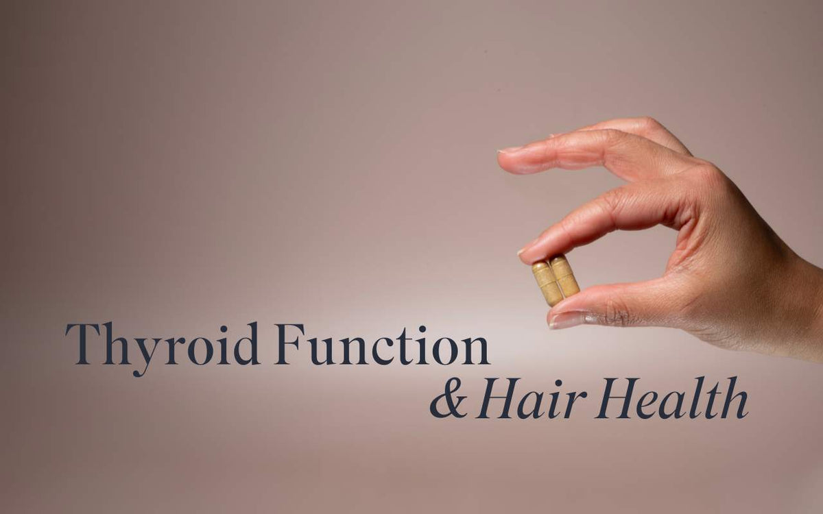 The Link Between Thyroid Health and Hair Thinning/Loss – CENTRED.®