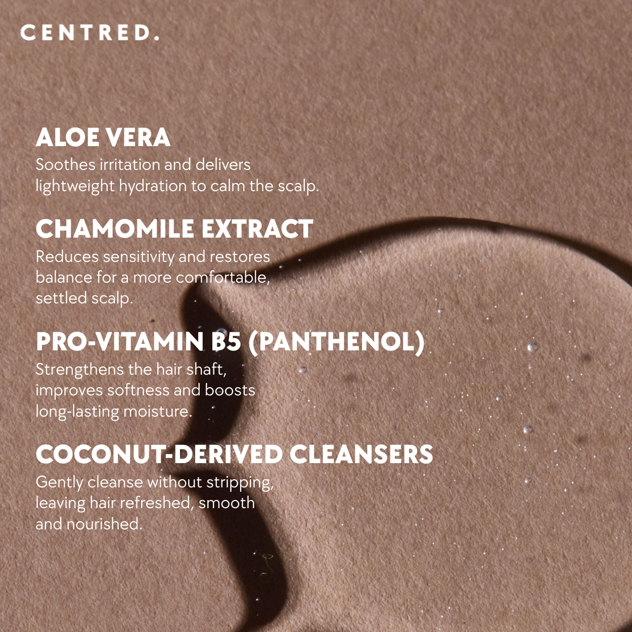 Daily Calma - Repair Shampoo